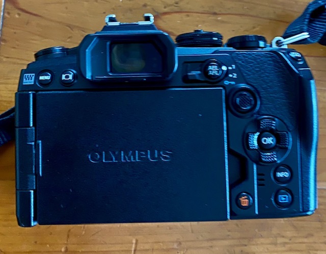 OLYMPUS OM-D E-M1 MarkIII 一眼 ミラーレス カメラ ボディ ブラック オリンパス 中古 _画像2