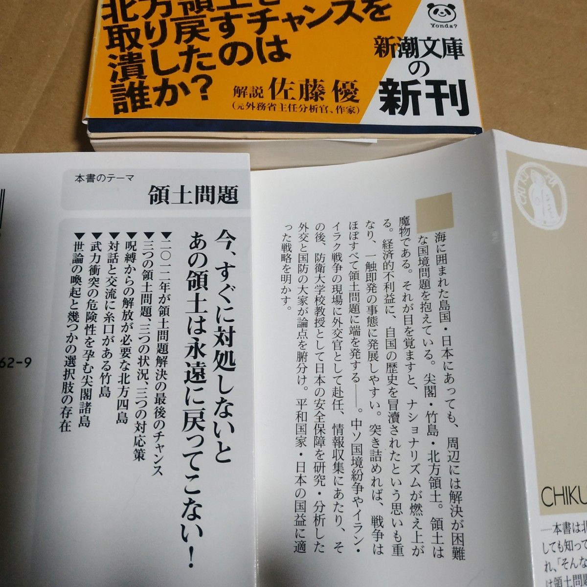 国境4冊 日本の国境 日本の領土問題 北方領土交渉秘話 北方領土匿名交渉 孫崎享 東郷和彦 佐藤優 竹島 尖閣諸島 鈴木宗男