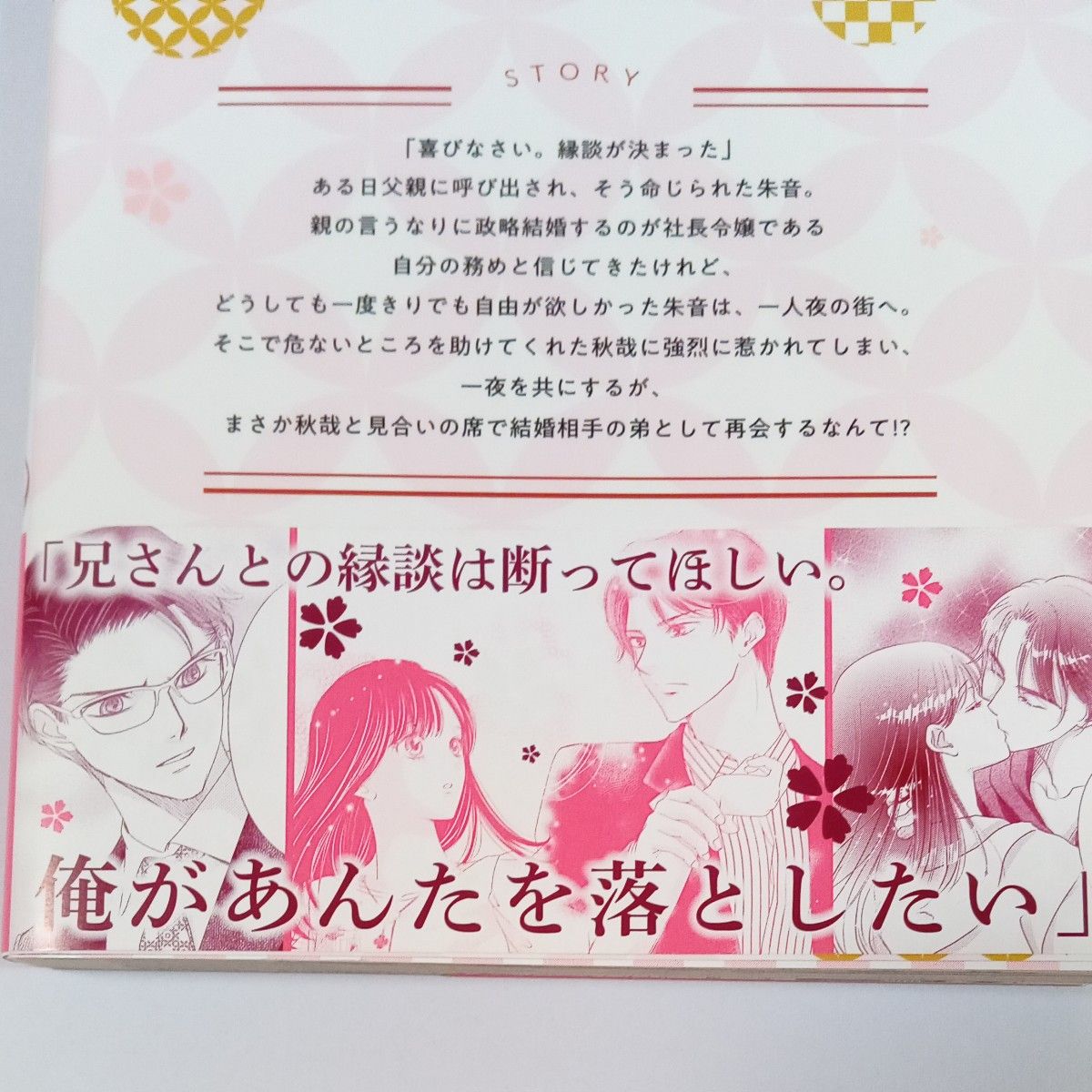 専用■略奪溺　敏腕御曹司は箱入り娘を一夜に奪　１　２ 岡本慶著　西條六原作　 タオル　あと一つ