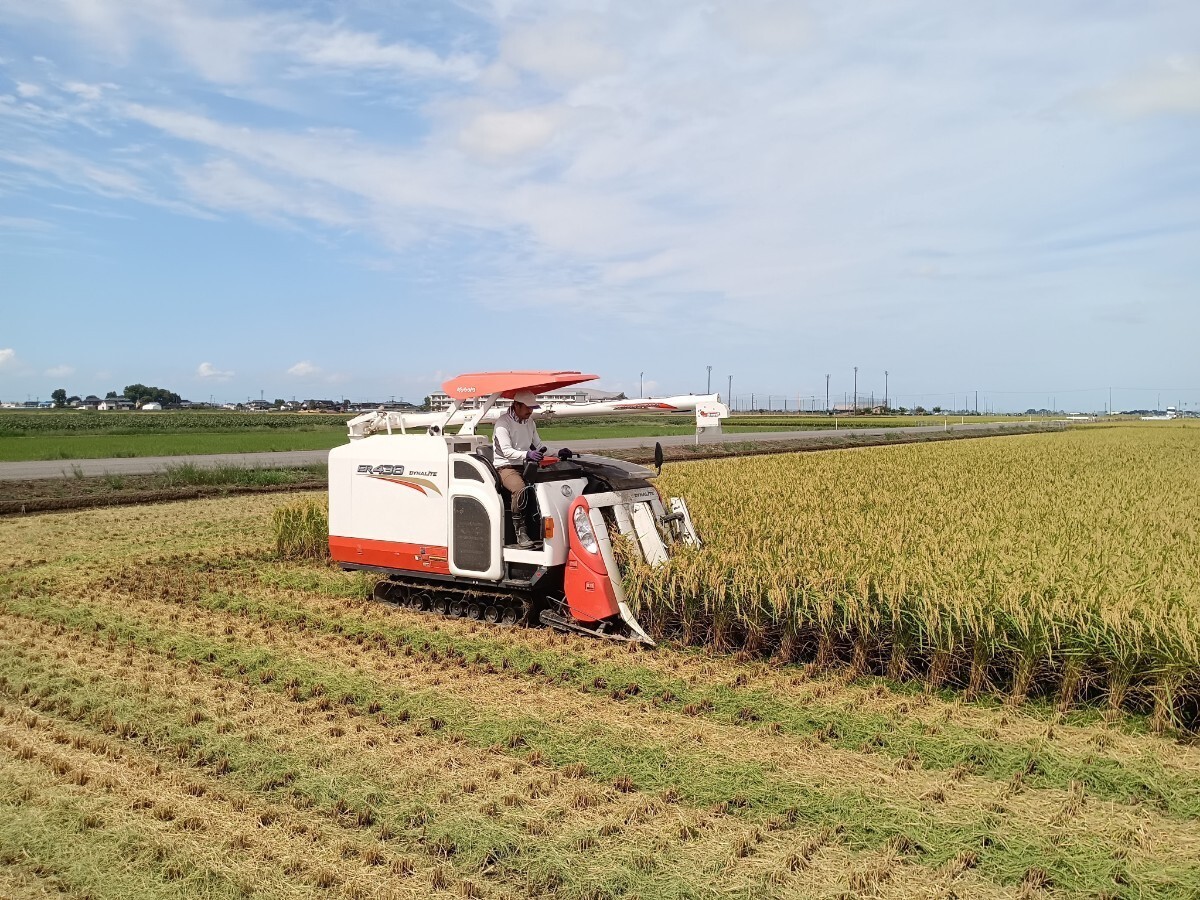  специальный культивирование рис Niigata префектура производство Koshihikari 10k