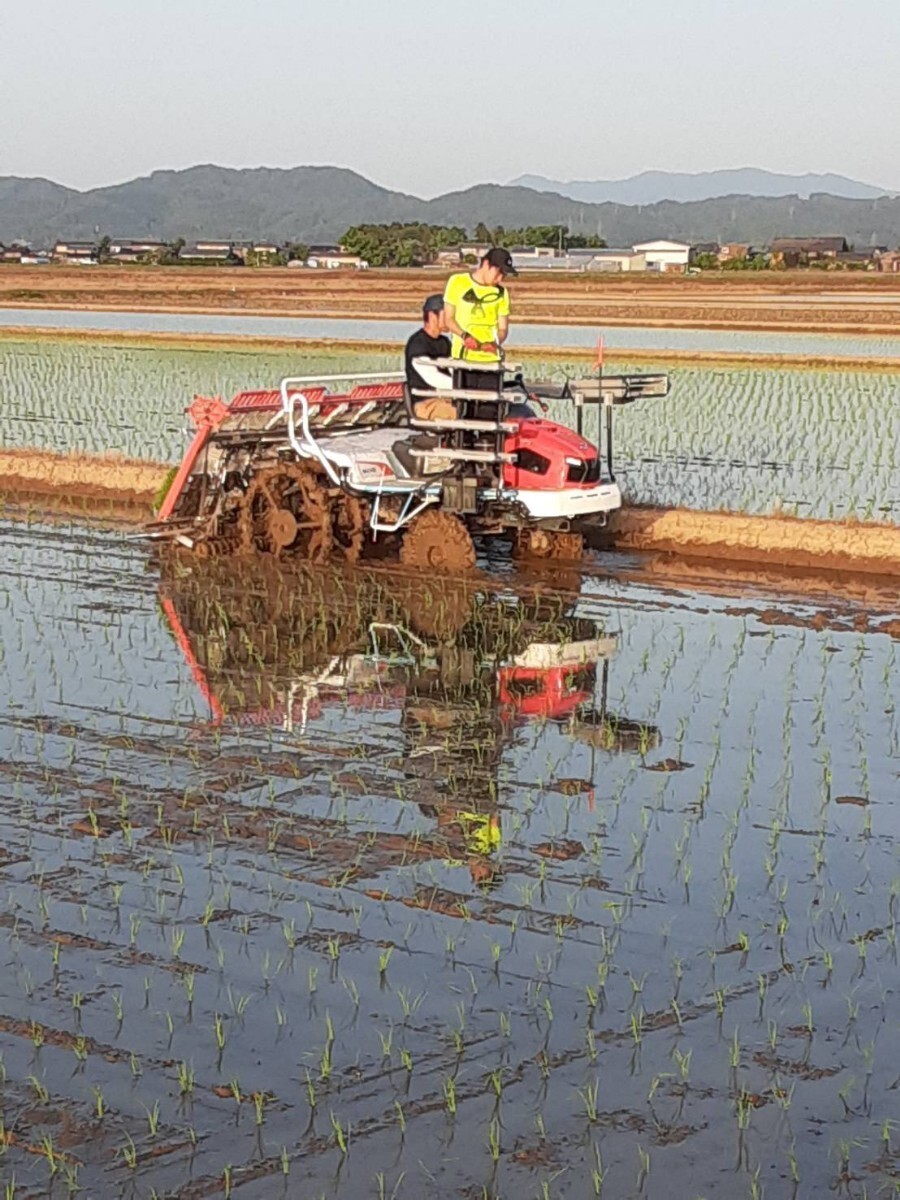  специальный культивирование рис Niigata префектура производство Koshihikari 10k