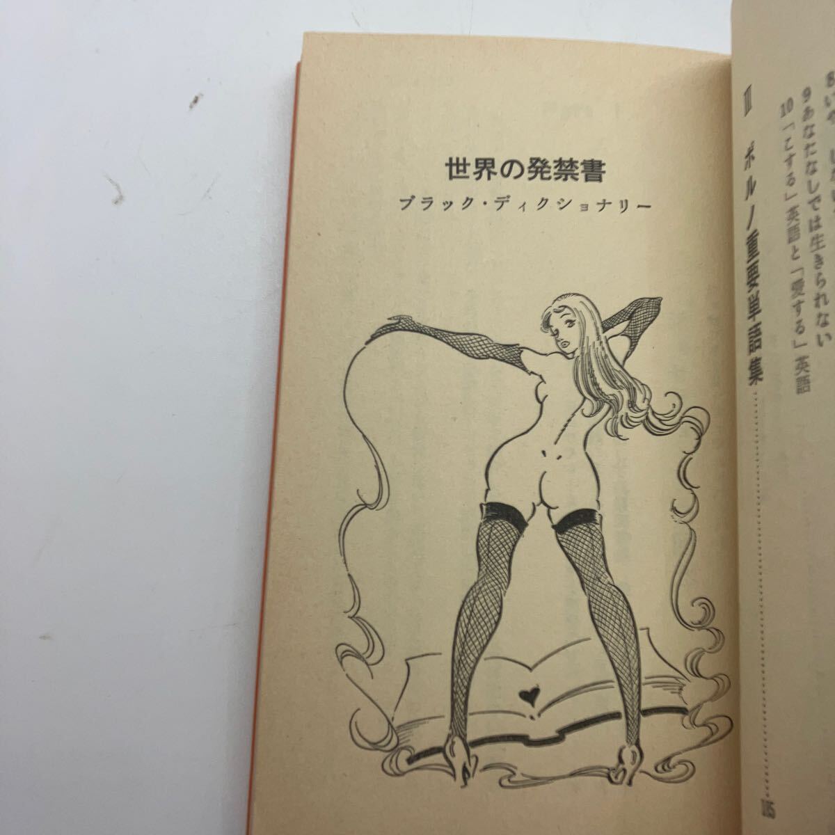 欧米発禁本　海外エロ小説入門　竹村健一　装画・笠間しろう　1974年初版　新書版　明文社　昭和レトロ_画像7