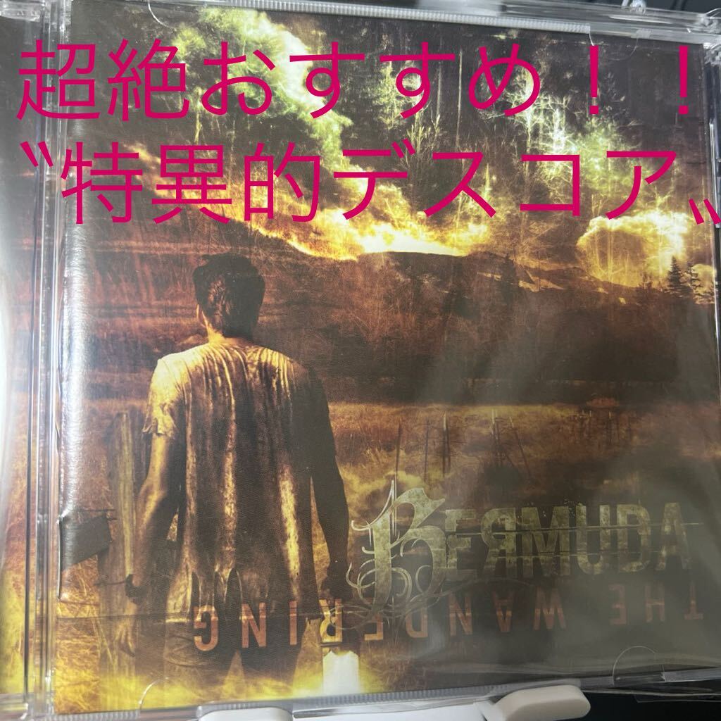 【新品同様】【廃盤超絶レア】Bermuda / Wandering【デスコア】Enterprise Earth,Job For A Cowboy,Static X,Signs of Swarm,Lorna Shore_画像1