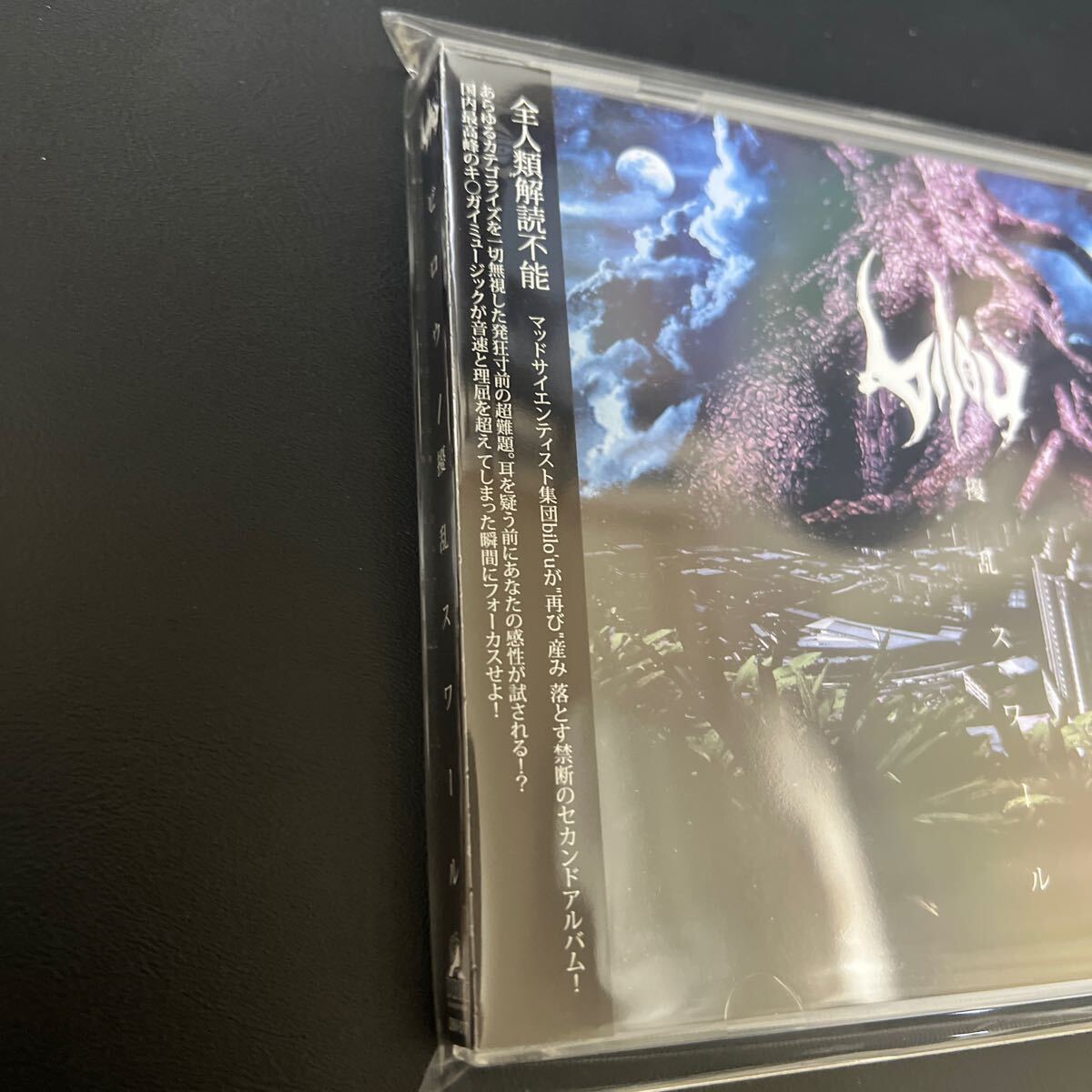 【新品同様】【廃盤超絶レア】bilo'u / 擾乱スワール【国産Mathcore】Arbus,Car Bomb,Tony Danza,Converge, Botch,Rolo Tomassi,Dillinger_画像4