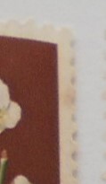花シリーズ全種類揃い 未使用10円切手全12種完(すいせん/うめ/つばき/やまざくら/ぼたん/はなしょうぶ/やまゆり/あさがお/ききょうなど)の画像3