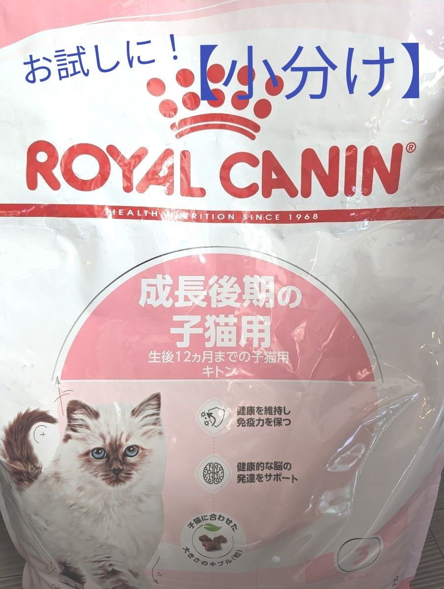 お試しに！【小分け】ロイヤルカナン キトン 300g（成長後期4ヶ月から12ヶ月の子猫用）