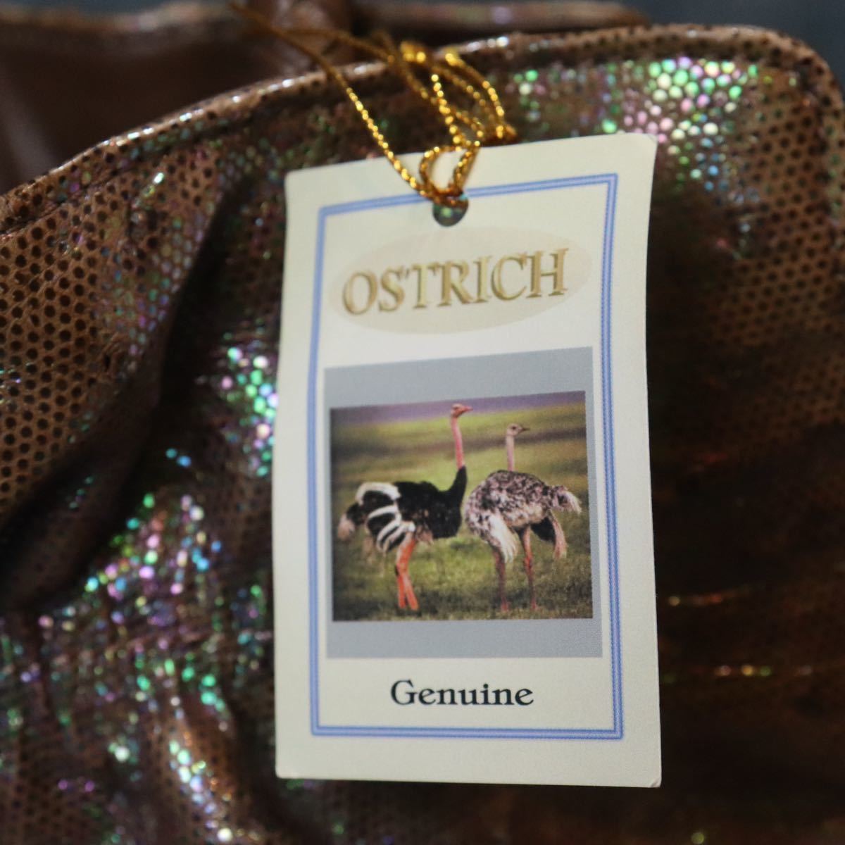 １円スタート 特殊染 希少 オーロラ加工 タグ付 オーストリッチ ハンドバッグ ダチョウ genuine ostrich 駝鳥 エキゾチック 1スタの画像2