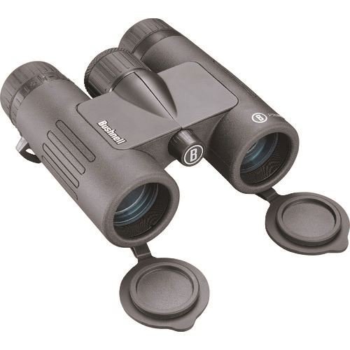 Ｂｕｓｈｎｅｌｌ プライム８×３２ [BP832B]