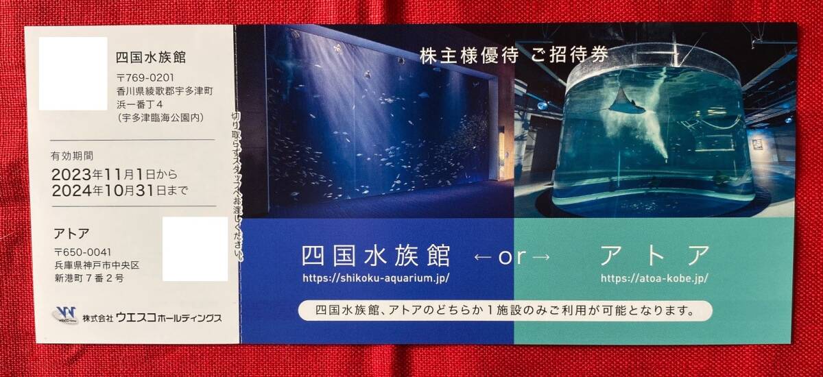 【D】ウエスコホールディングス　株主優待券　四国水族館orアトア　入場券　1枚　有効期限：2024/10/31　速達対応可能_画像1