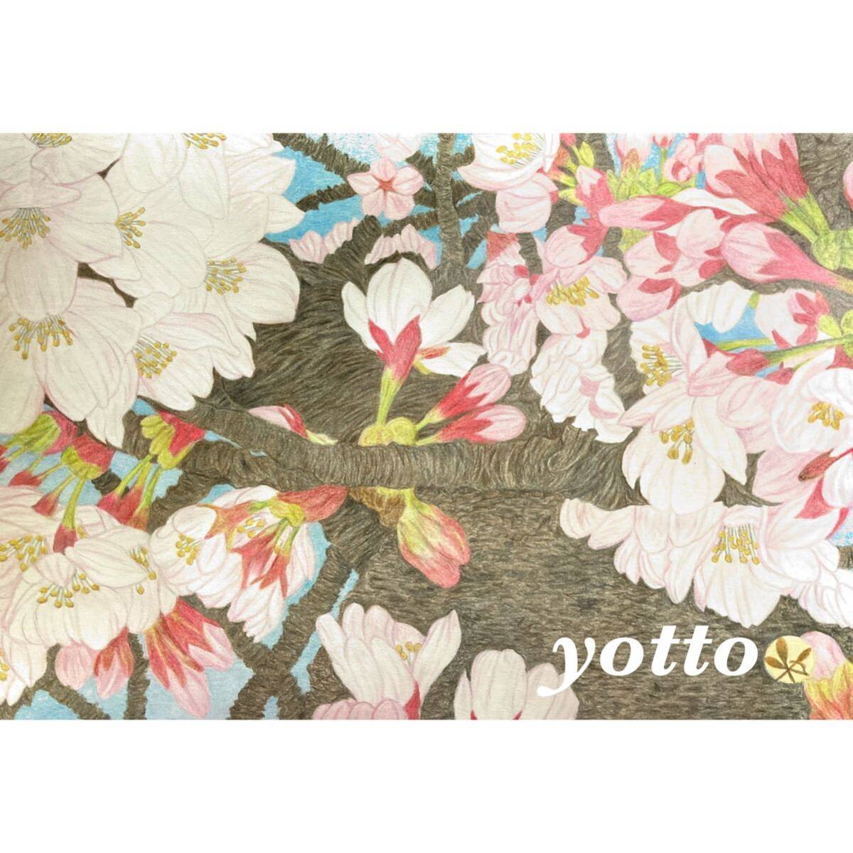  color pencil .[ dream see .~ Sakura ~ ]B5* amount attaching ** hand ..* original picture * Sakura **yotto