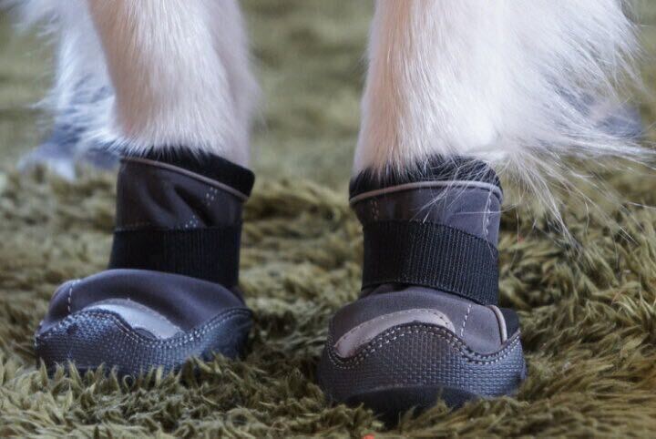 Hurtta Outbacks Boots dog boots XXL