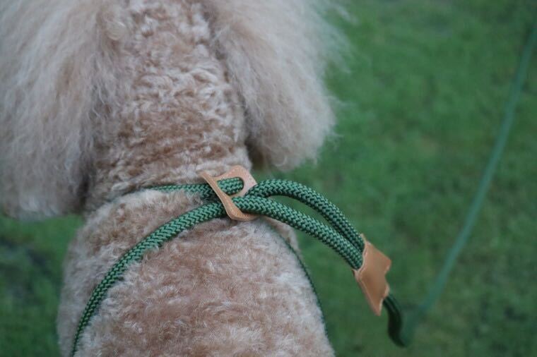 [Hakusan] body . gently Fit make one body harness lead [ rope DE harness lead ]8mm type total length 80cm green 