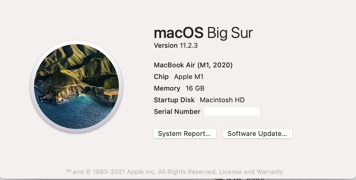 【US配列】MacBook Air M1 2020 16GB 1TB AC未使用 元箱 画面フィルム＋キーボード/トラックパッド/アームレストカバー+シェルケースで使用_画像7