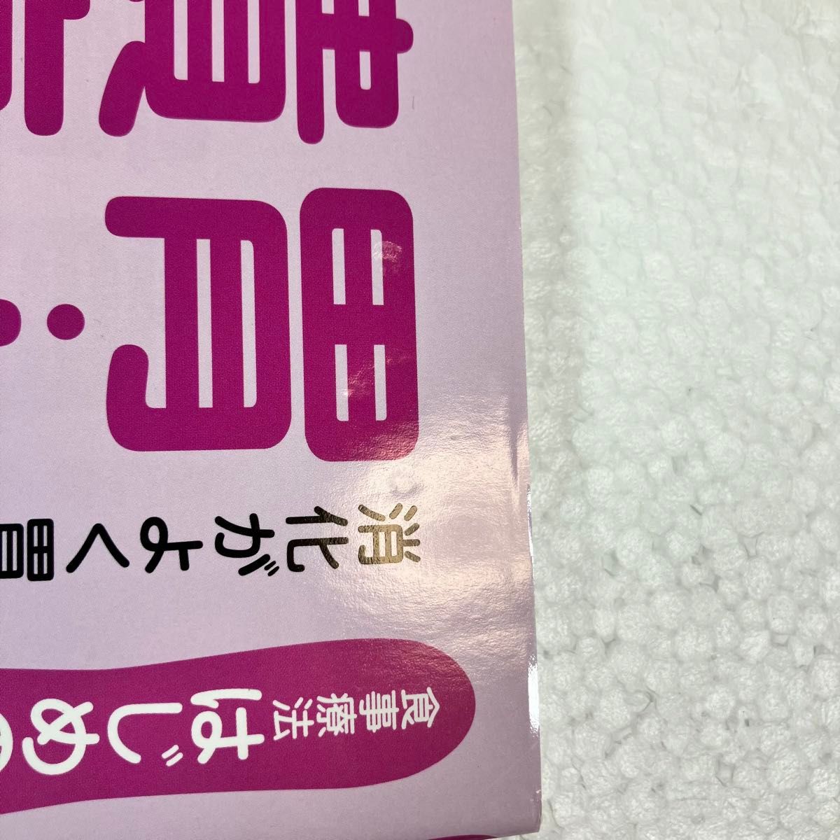 胃・十二指腸潰瘍の安心ごはん　消化がよく胃腸にやさしい （食事療法はじめの一歩シリーズ） 宮崎招久／著　高橋徳江／著