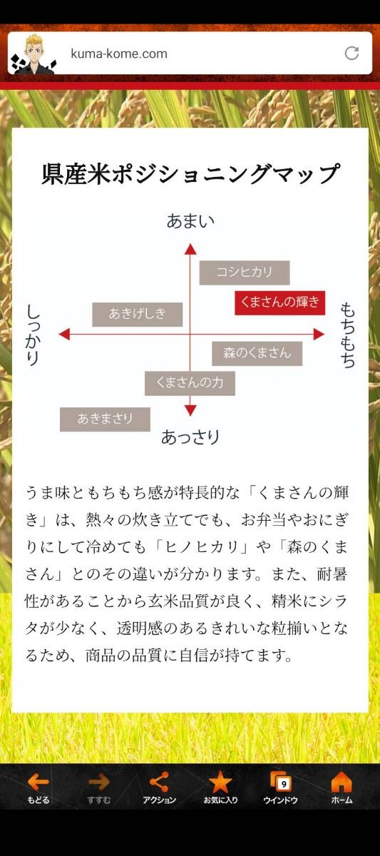 新米　白米　くまさんの輝き　5kg 熊本県産　令和5年度産　hiro