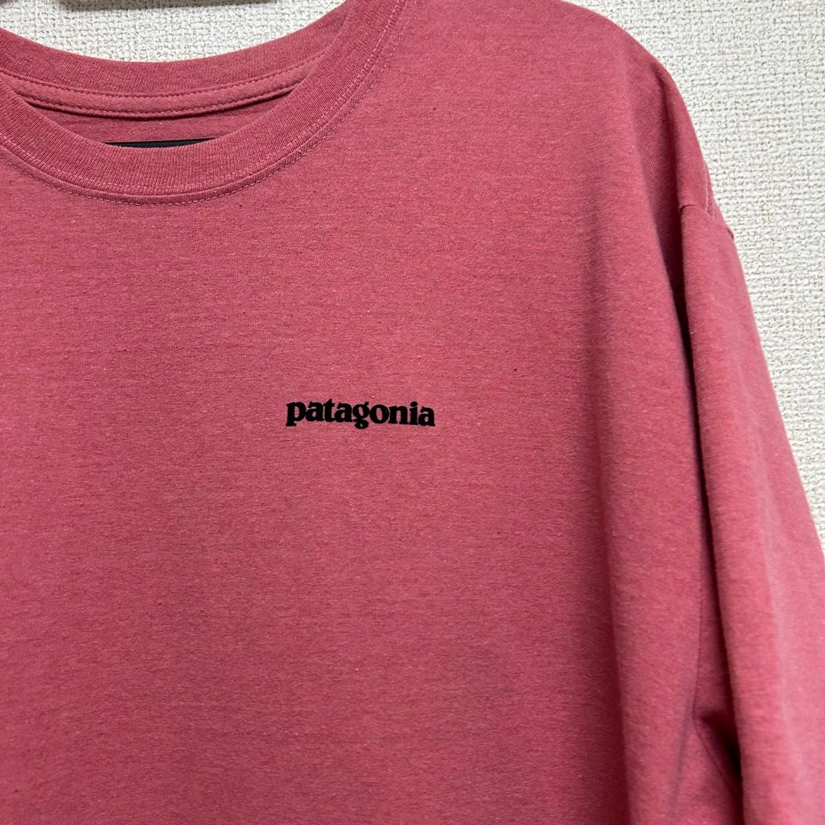 patagonia パタゴニア Tシャツ XL 美品