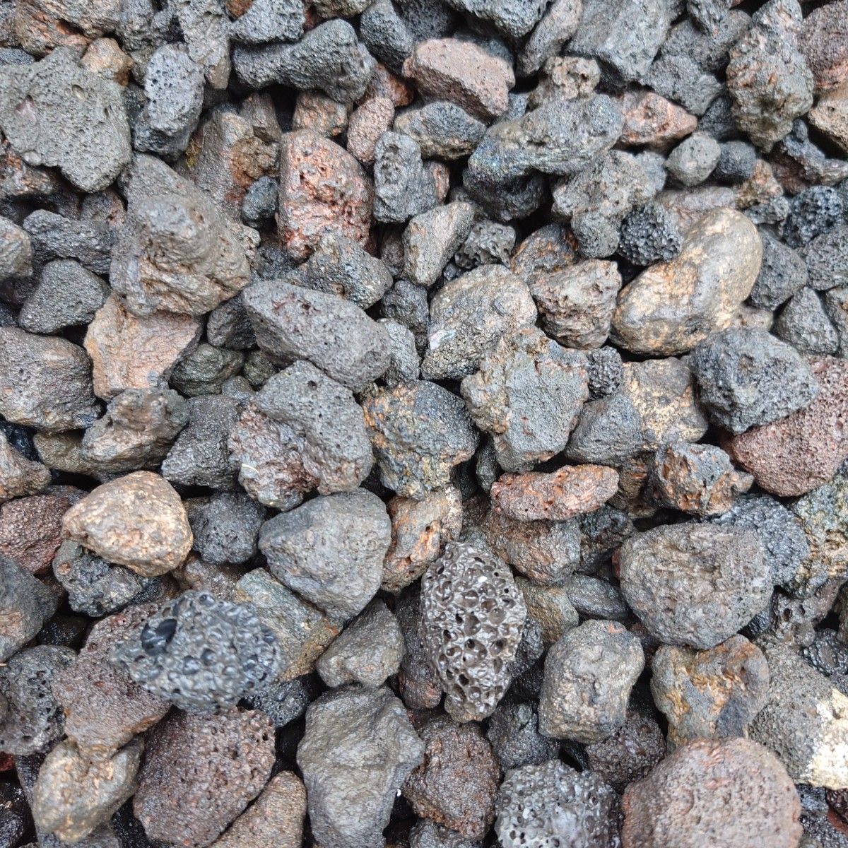【アウトレット品】黒溶岩石 9kg (1.5から3.9cmほどの大きさ)