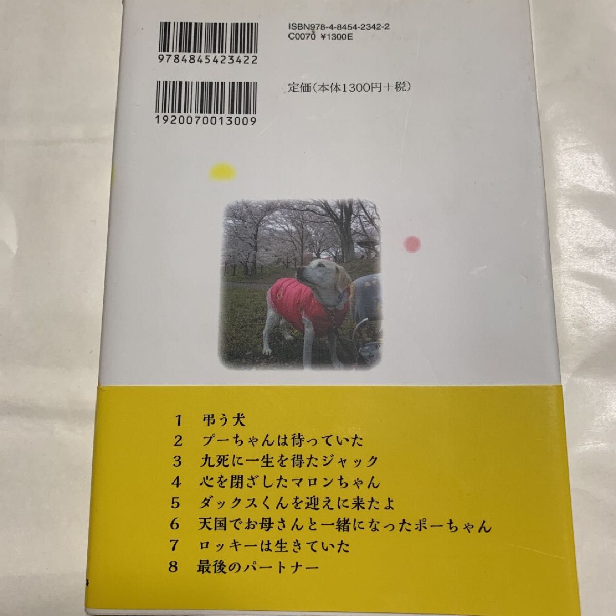 涙がとまらない犬たちからのメッセージ ゆりあ／著