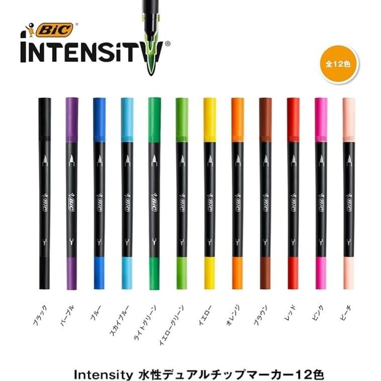 ビック(Bic) 水性 ペン 筆ペン 塗り絵 カラー セット Intensity デュアルチップ マーカー 12色セット④