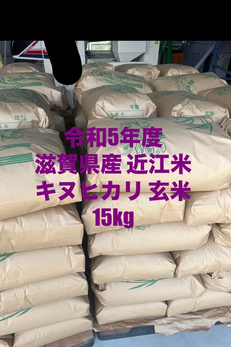 令和5年度 滋賀県産 近江米 キヌヒカリ 玄米 15kg   専用出品
