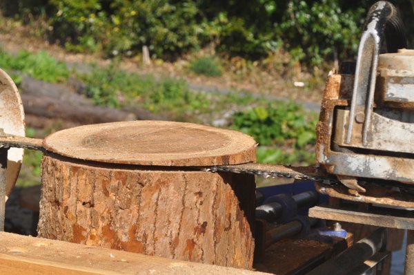 丈夫で安全で割れない薪割り台（未研磨）作業台,飾り台,踏上り台,キャンプ,バトニング 楠の香り高い九州産 木製品0804_平行切断マシーン