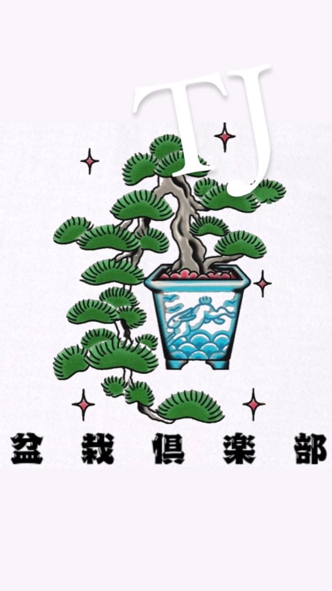 Tシャツ　盆栽倶楽部　盆栽　BONSAI