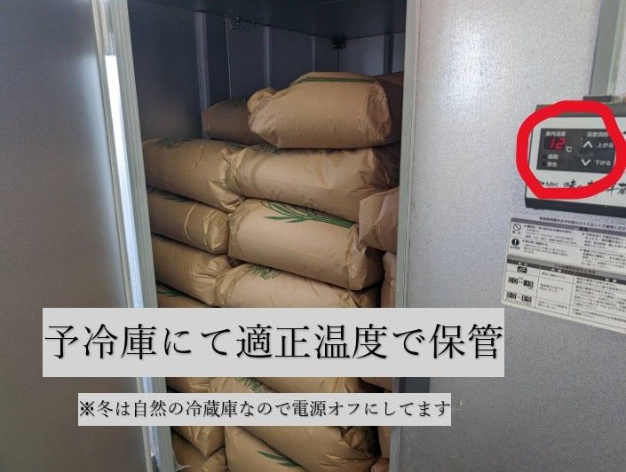  【送料無料】ななつぼし　１等米　玄米20キロ　特A北海道米　令和５年産　農家直送 数量限定