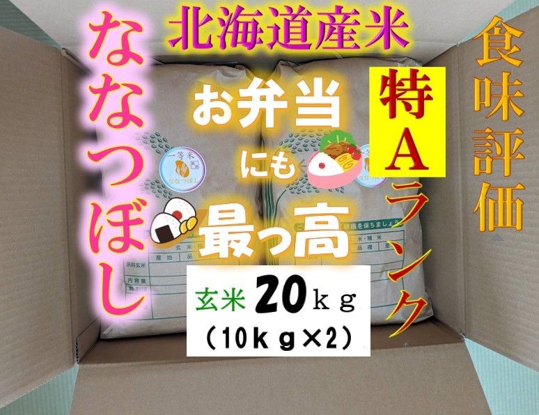  【送料無料】ななつぼし　１等米　玄米20キロ　特A北海道米　令和５年産　農家直送 数量限定