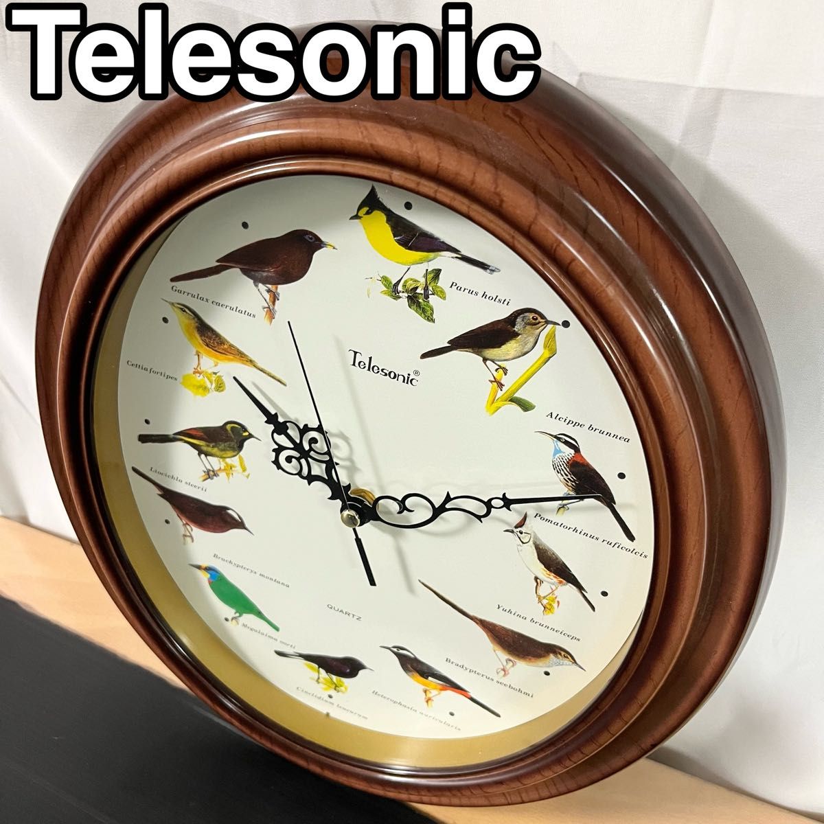 Telesonic 12種類鳥鳴き装置付き掛け時計　鳥のデザイン　野鳥　鳴き声
