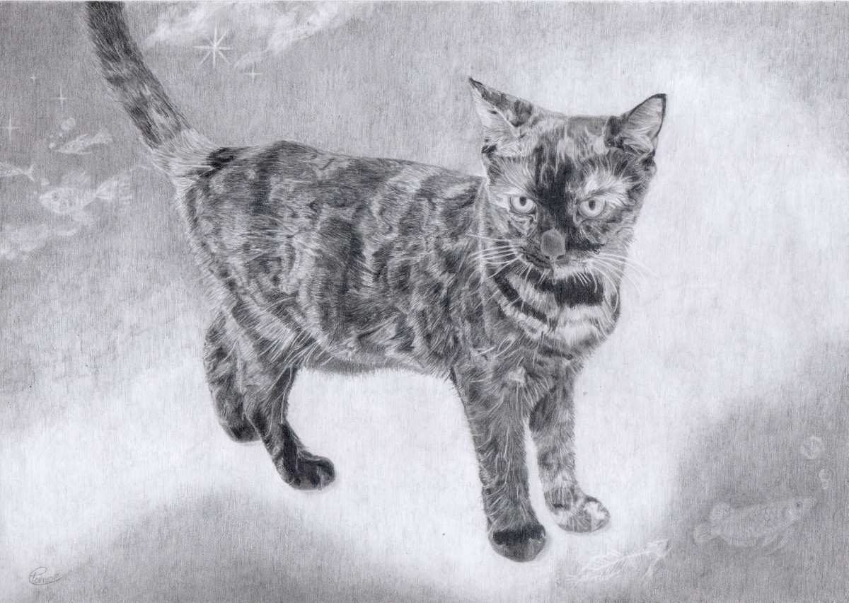 猫の絵画　鉛筆画原画　サビ猫ヨルさん_画像1