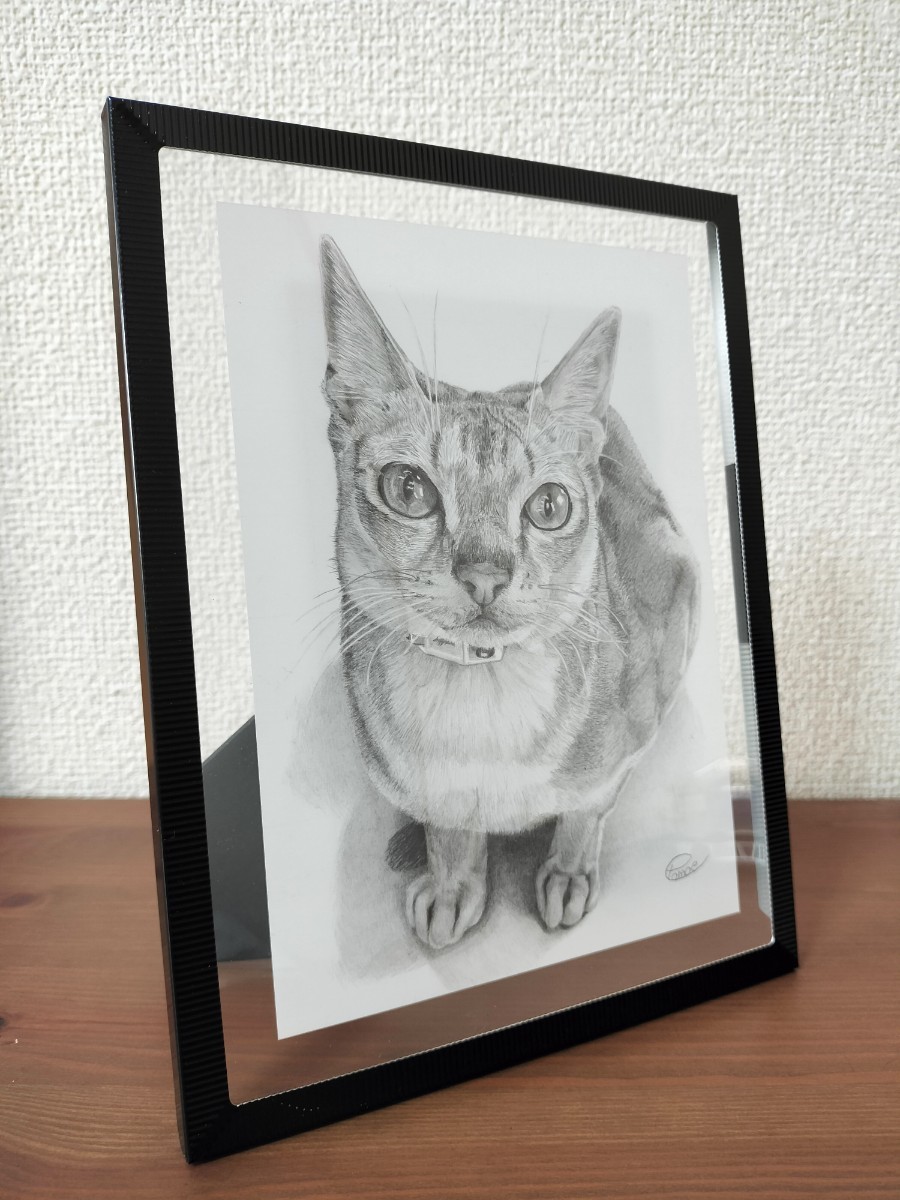 猫の絵画　鉛筆画原画　シンガプーラ_画像2