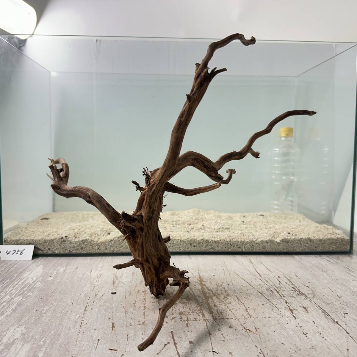 nesia driftwood BIG Brown b lunch /2L size 1 point thing No.4756[W approximately 43cm](60cm aquarium )