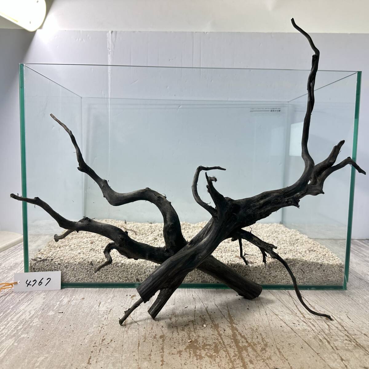 2 pcs set! beautiful type nesia driftwood BIG/L black type 1 point thing No.4767. (W approximately 32cm/35cm)