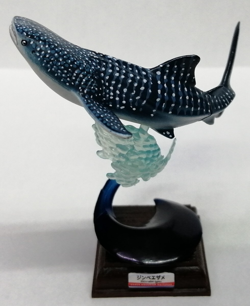 大人気 Yahoo!オークション - 海遊館 ジンベエザメ サメ 鮫 フィギュア 生き物