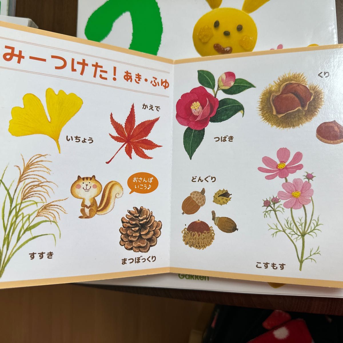 「ふれあい親子のほん 2さいだもん」&「2さいだもんポケット はじめてずかん」セット売り　絵本