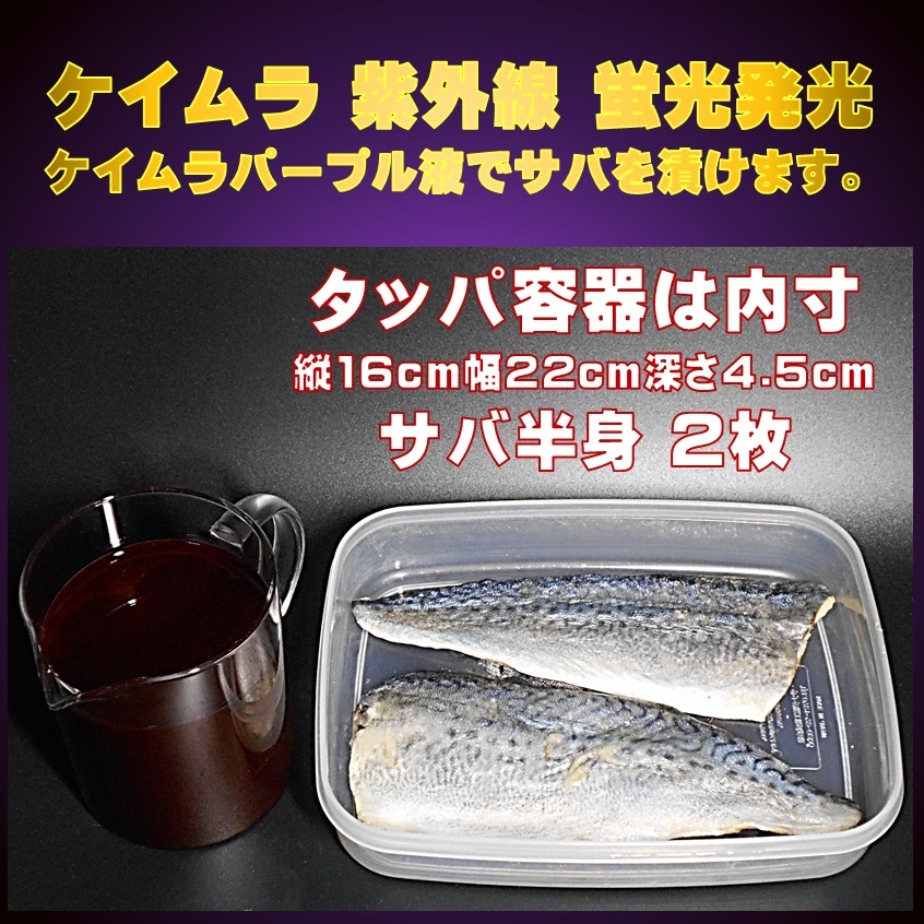 紫外線加工液 集魚剤 ケイムラブルー ケイムラパープル 190ml ２色組 ケイムラ 液 冷凍 オキアミ 冷凍イワシ エサ 海上釣堀 エサ 釣り餌の画像4