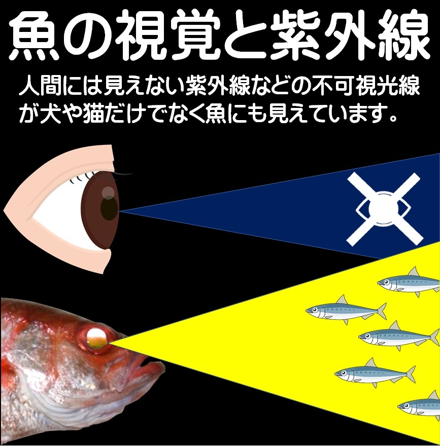 集魚剤 紫外線加工液 釣りエサ用 アミノ酸 配合 ケイムラパープル190ml２本組 冷凍 オキアミ 海上釣堀 エサ 冷凍イワシ 餌 アミエビ 釣り餌_画像2