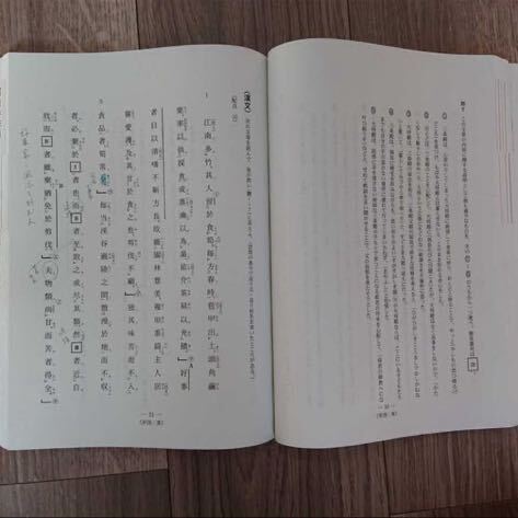 古典 全19回分 センター試験国語過去問題 平成22～31年本試験・追試験 問題集 テキスト 参考書 大学受験 教科書 大学受験 共通テスト