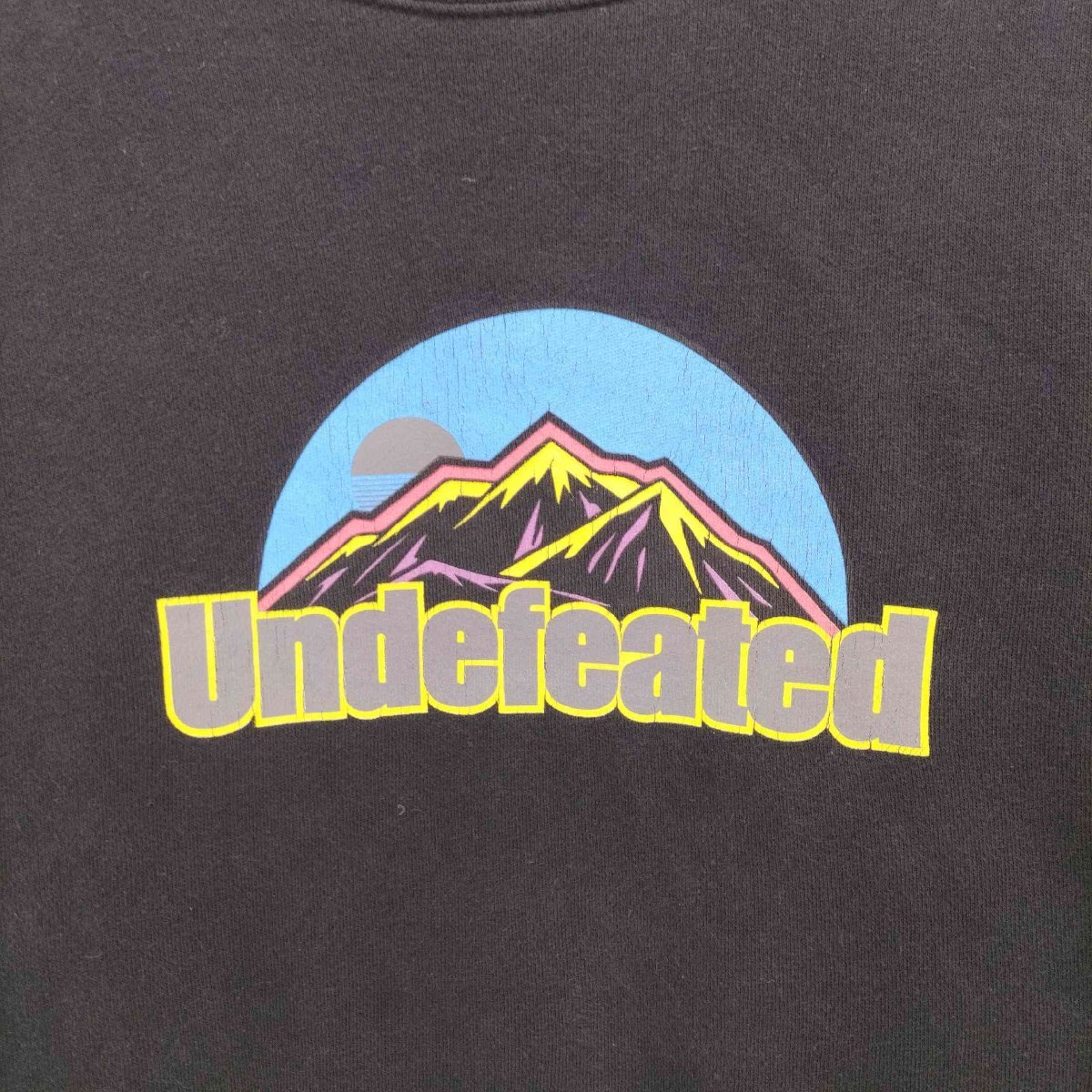 UNDEFEATED(アンディフィーテッド) マウンテン サンプリング プリント クルーネック スウェット 中古 古着 1048_画像3