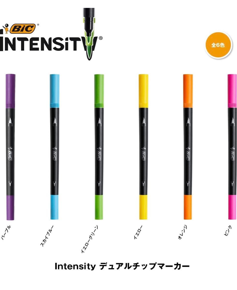 BiC 水性ペン　デュアルチップ　12色セット