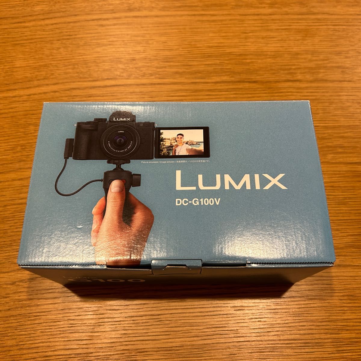 【展示品】Panasonic  LUMIX DC-G100V-K 保証付