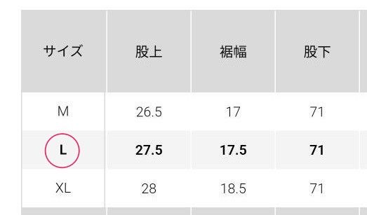 ヒートテックウォームイージーパンツ　暖パン　レディース　L