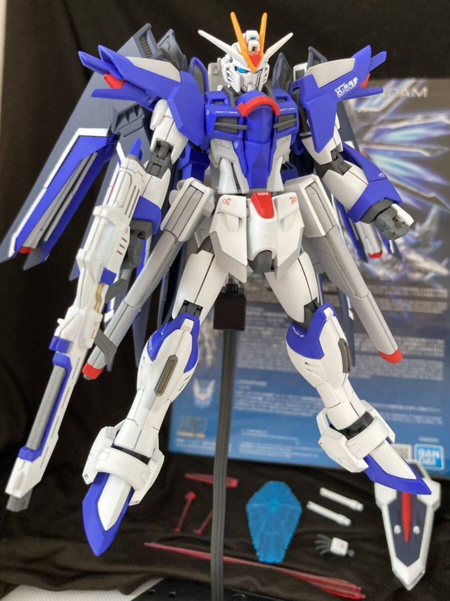 HG ライジングフリーダム 全塗装 完成品_画像1