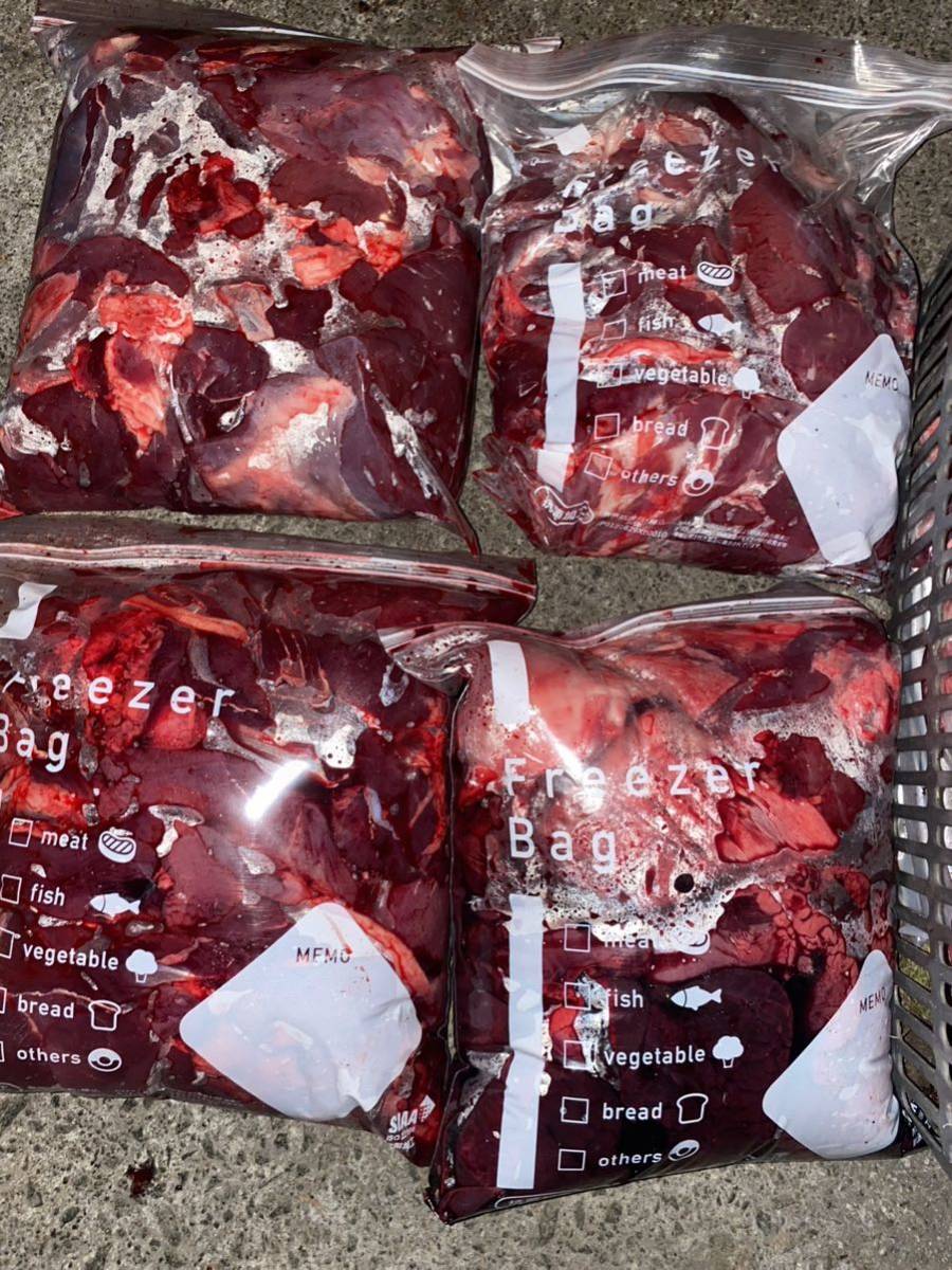 【冷凍骨なし猪肉9kg】合法的に屠殺された猪肉を冷凍しております。福岡県朝倉市産猪肉、計9kg。ペット用の野生動物のイノシシ肉。_画像3