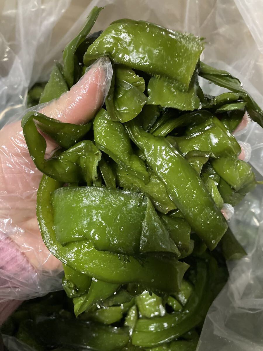 最新年度 塩蔵茎わかめ 徳島県産 ネコポス箱込み1kgの画像1