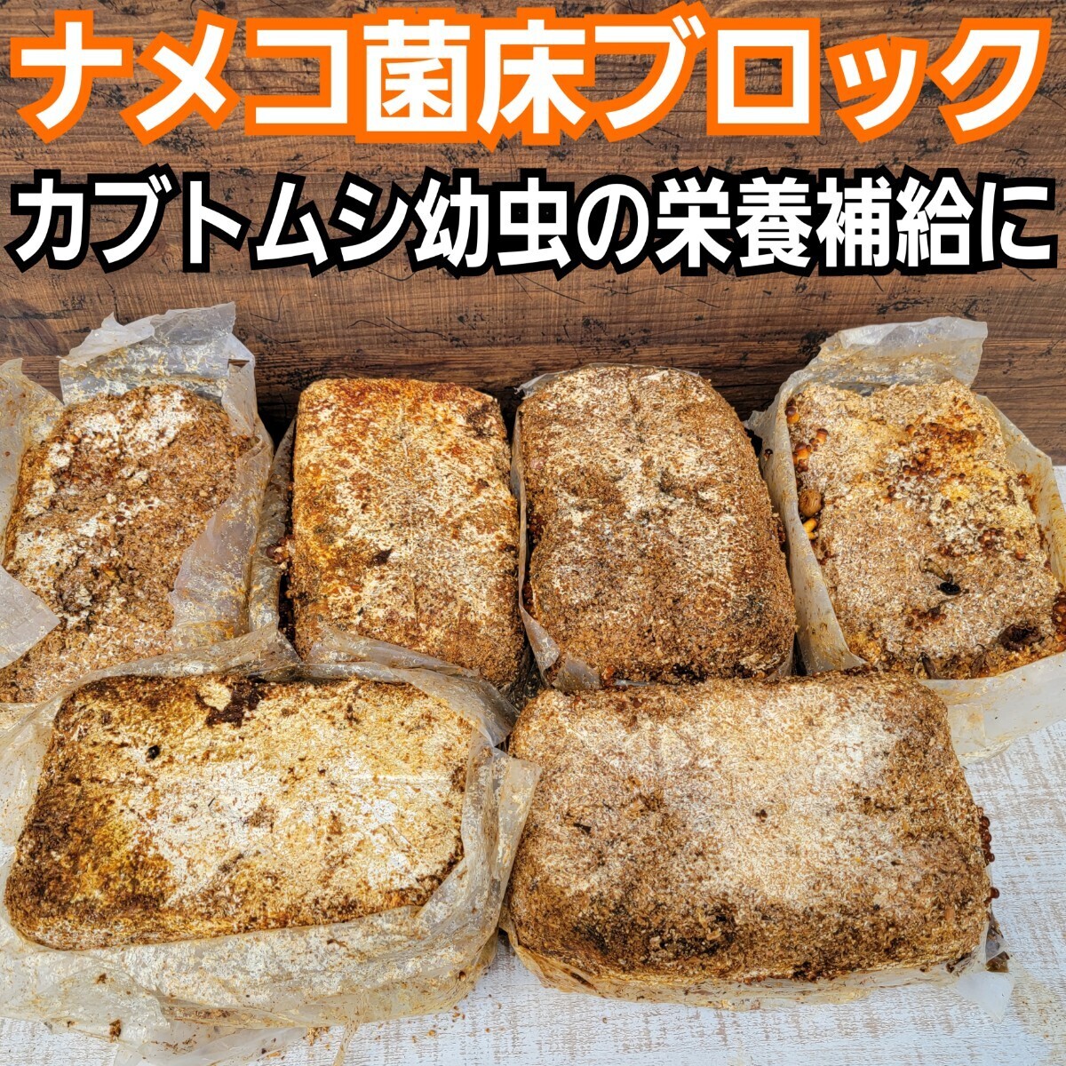 ナメコ菌床ブロック【10個セット】　クヌギ100％原料使用　カブトムシ幼虫の栄養補給にバック！マットにブロックのまま埋めるだけでOK！_画像1