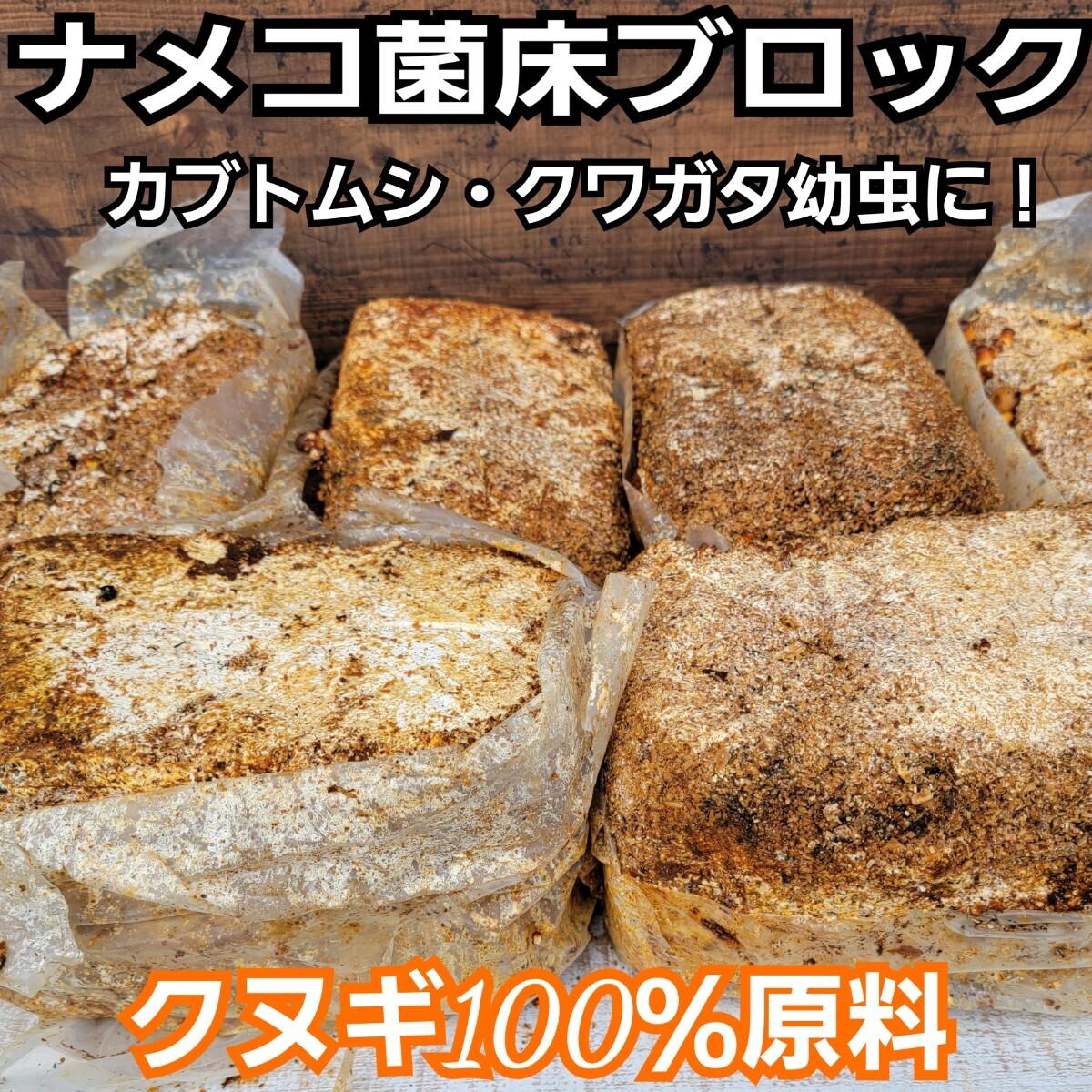 ナメコ菌床ブロック【10個セット】　クヌギ100％原料使用　カブトムシ幼虫の栄養補給にバック！マットにブロックのまま埋めるだけでOK！_画像2