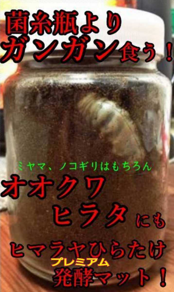 アクベシアヌスにもお薦め！進化した！特選プレミアム3次発酵マット 共生バクテリア・特殊アミノ酸強化配合 産卵にもOK！ミヤマにも抜群の画像6