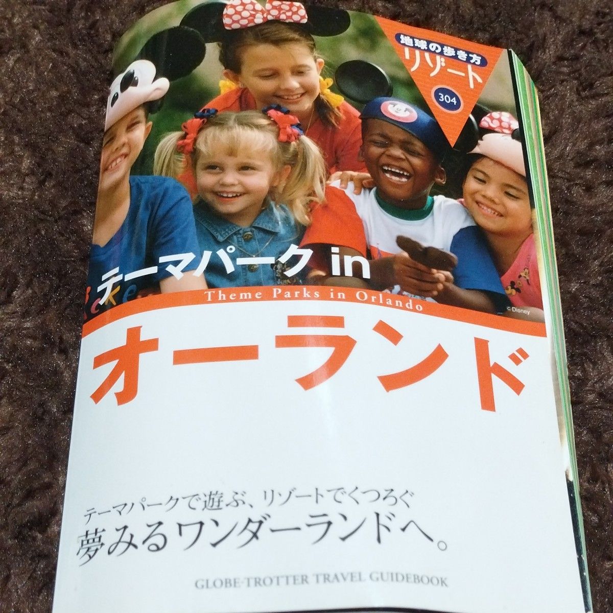 テーマパークｉｎオーランド 地球の歩き方リゾート３０４／地球の歩き方編集室(著者)海外旅行ガイドブック