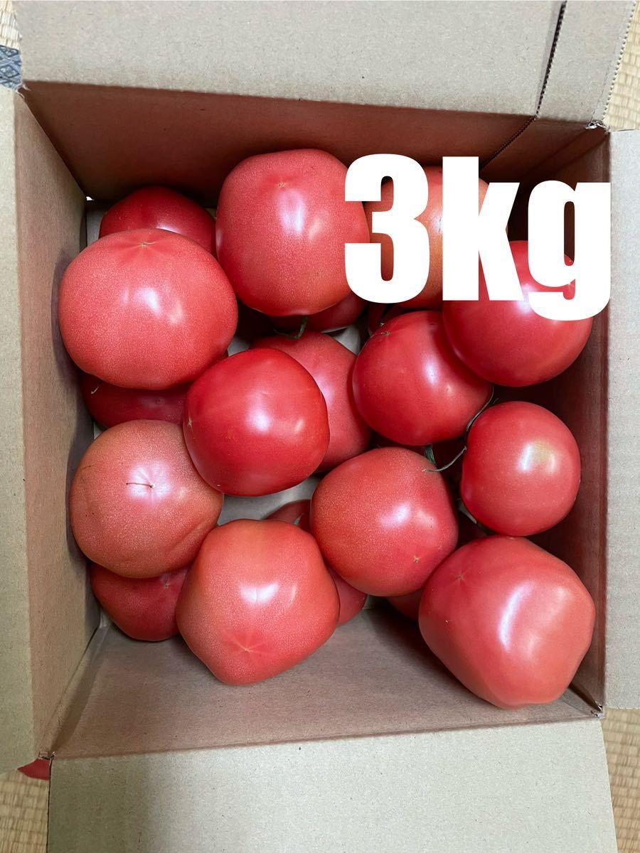 訳あり　Ｂ品 トマト　3kg 農家直送 減農薬栽培_画像1